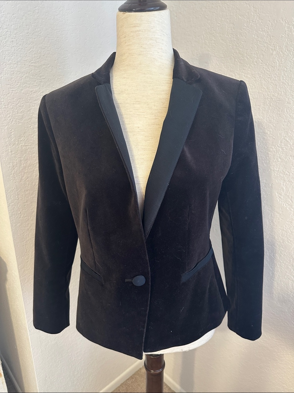 Ann Taylor Velvet Blazer (6)